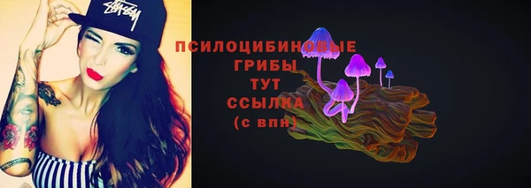 кокаин Белокуриха